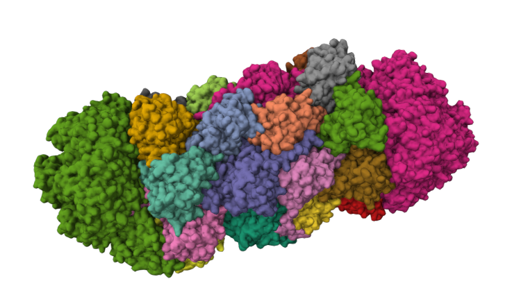 Structural Biology